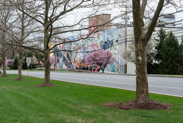 Quaker Maid Meats Reading, PA