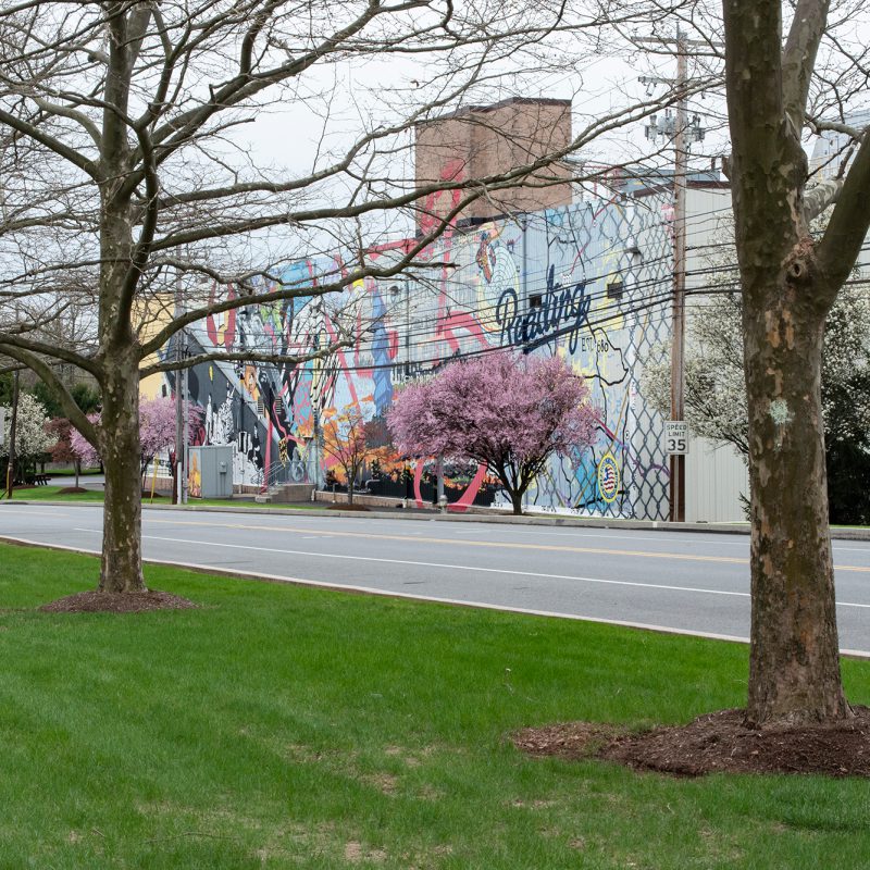 Quaker Maid Meats Reading, PA